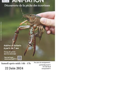 Initiation à la pêche des écrevisses