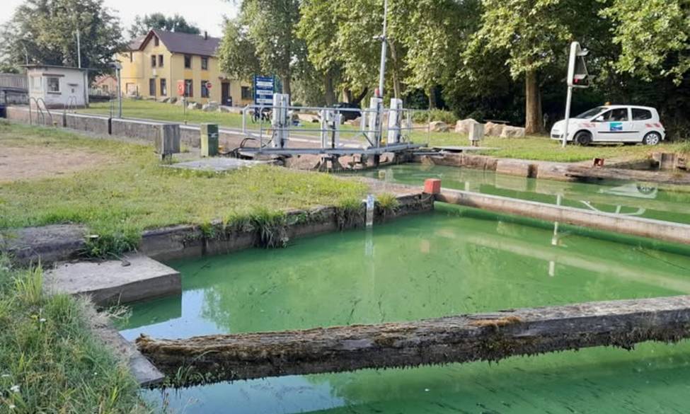 Présence de cyanobactéries dans le canal de la Marne au Rhin : vigilance recommandée