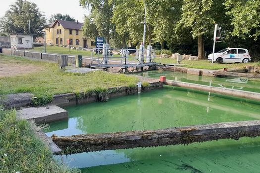 Présence de cyanobactéries dans le canal de la Marne au Rhin : vigilance recommandée