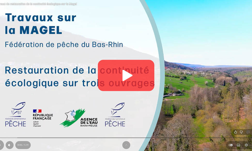 Inauguration des travaux de restauration de la continuité écologique sur la Magel