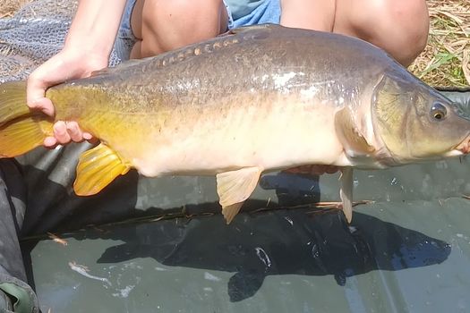 Atelier Pêche Nature