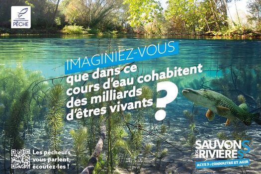 Sauvons nos rivières - Acte 3 - Connaître et agir