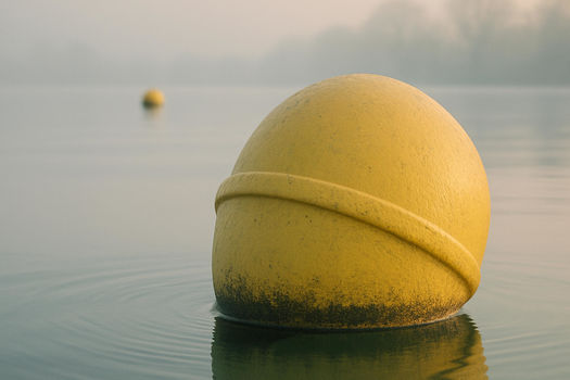 Suivi de la température au plan d’eau de Plobsheim