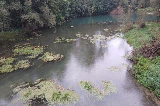 Abaissement du Rhin