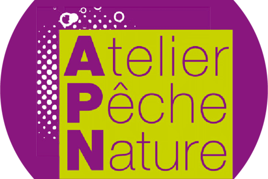 FORMATION APN