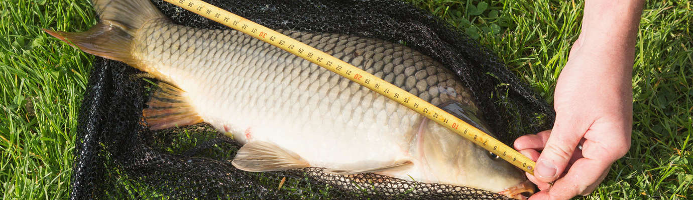 Règlementation - Fédération de Pêche du Bas-Rhin