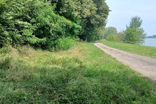 Autorisation de circuler Île de Marckolsheim