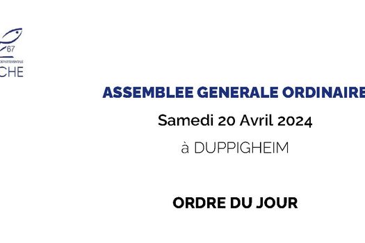 Assemblée Générale